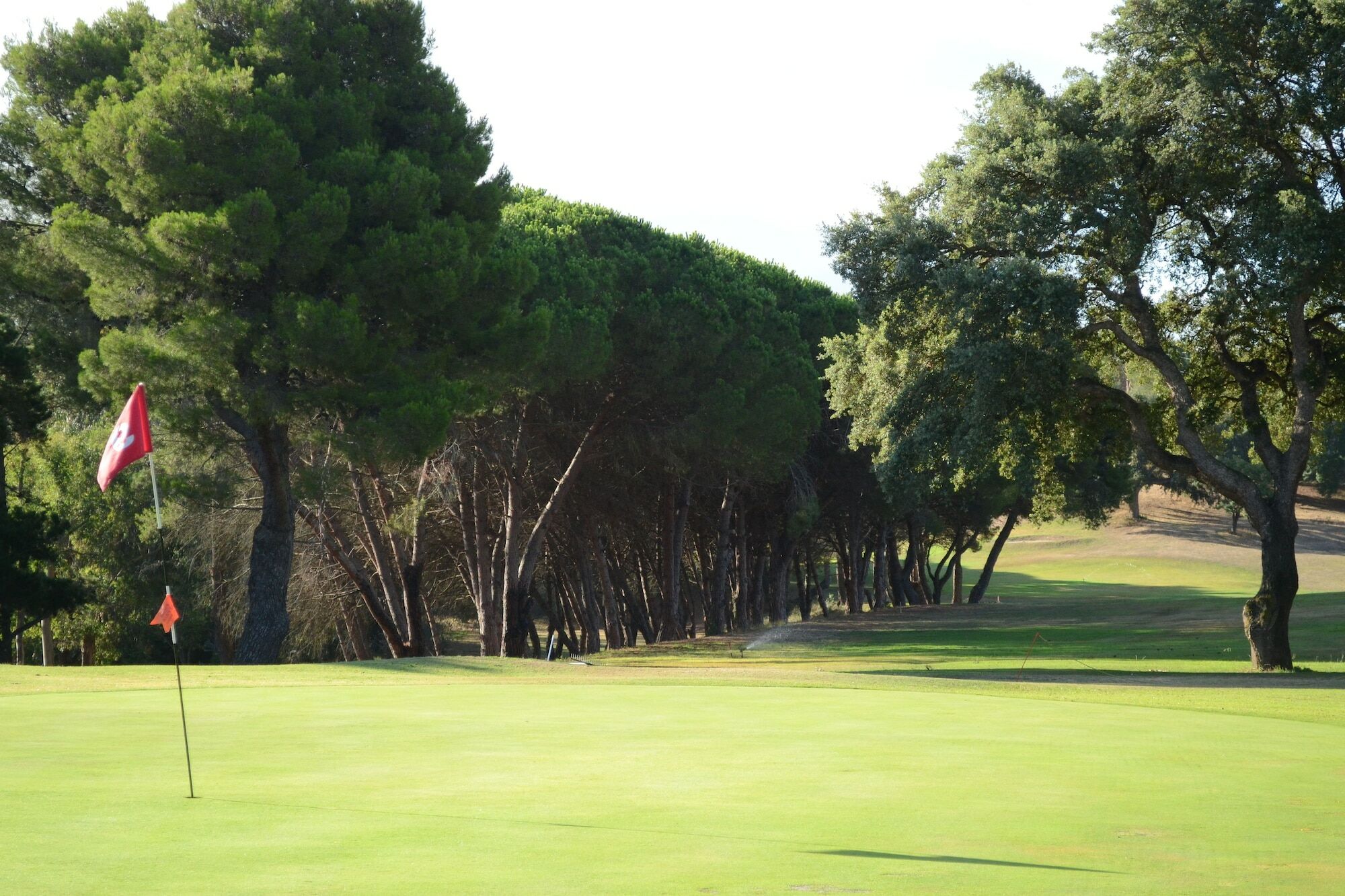 Allegroitalia Elba Golf Portoferraio Exterior photo